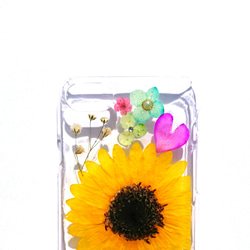 只有一點☆iPhone 7,8專用案例“迷你向日葵” 第2張的照片
