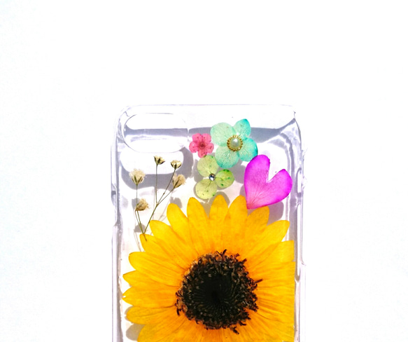 只有一點☆iPhone 7,8專用案例“迷你向日葵” 第2張的照片