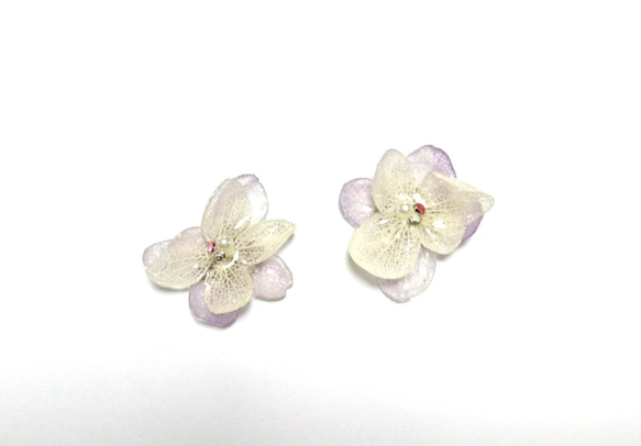 保鮮花“白色紫色繡球耳環/耳環” 第3張的照片