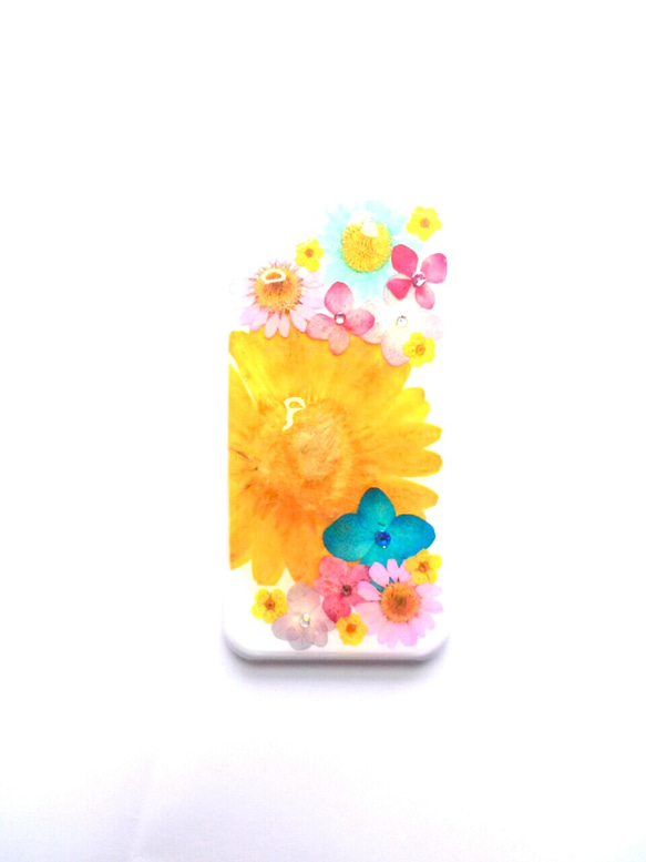 本物 押し花 iPhone５、５Ｓ専用ケース『黄色いガーベラ』 1枚目の画像