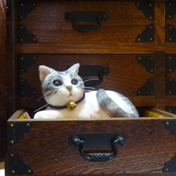 金の鈴をつけたサバ白猫さん　座布団付 6枚目の画像