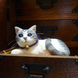 金の鈴をつけたサバ白猫さん　座布団付 7枚目の画像