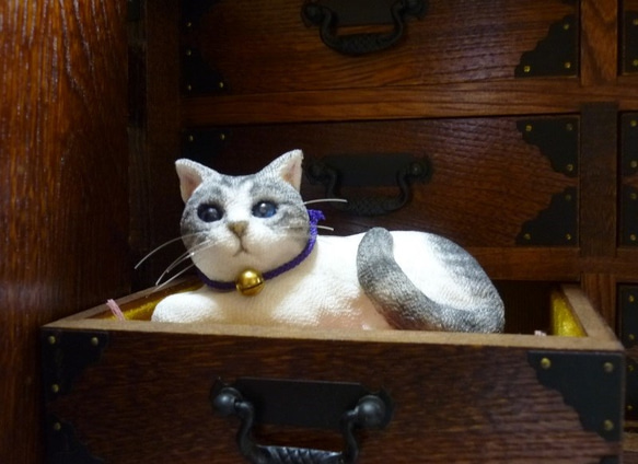 金の鈴をつけたサバ白猫さん　座布団付 7枚目の画像