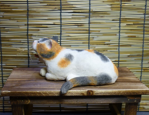 和猫百景　あくびをする三毛猫　(送料無料) 3枚目の画像