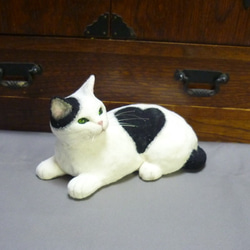 ハートの模様のある白黒猫 8枚目の画像