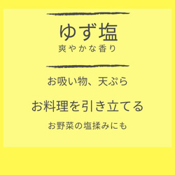 【送料込み】ゆず塩【持ち運び便利なミニボトル】 3枚目の画像