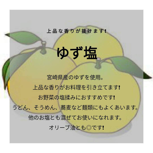 【送料込み】ゆず塩【持ち運び便利なミニボトル】 4枚目の画像