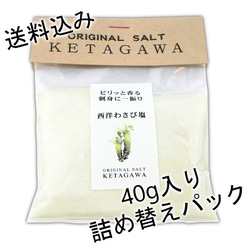 【送料込み】【お得な大容量❗️】西洋わさび塩詰め替えパウチパック 1枚目の画像