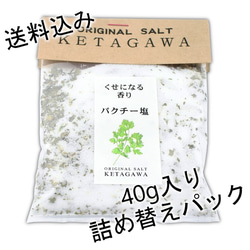 【送料込み】【お得な大容量❗️】パクチー塩詰め替えパウチパック 1枚目の画像