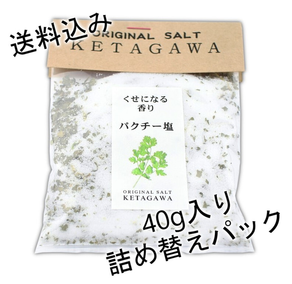 【送料込み】【お得な大容量❗️】パクチー塩詰め替えパウチパック 1枚目の画像