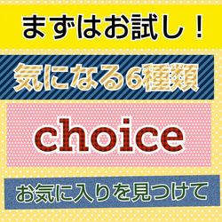 【送料込み】まずはお試し。22種類から6種類選んでお試し利き塩。各5㌘×6種類 4枚目の画像