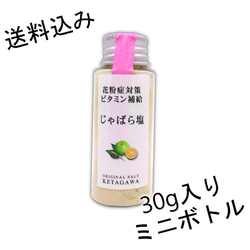 【送料込み】【無添加】【和歌山県産】じゃばら塩　持ち運び便利なミニボトル 1枚目の画像