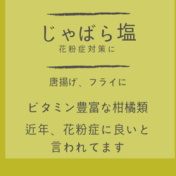 【送料込み】【無添加】【和歌山県産】じゃばら塩　持ち運び便利なミニボトル 3枚目の画像