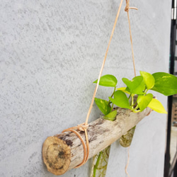 平衡木植栽掛飾 質感生活 皮革創意手作 第2張的照片