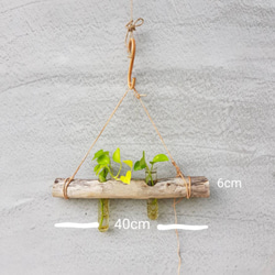 平衡木植栽掛飾 質感生活 皮革創意手作 第5張的照片