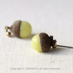 Acorn pierced earrings 第1張的照片