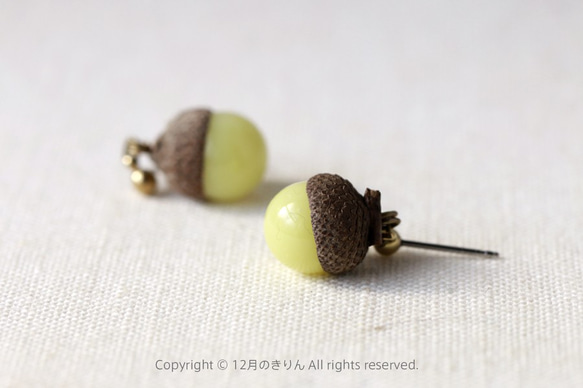 Acorn pierced earrings 第1張的照片