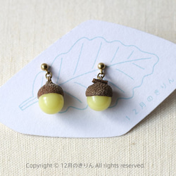 Acorn pierced earrings 第2張的照片