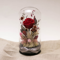 【奇比植作】（紅色玫瑰、紅色系花園）永生花花園星空瓶8X16 - 乾燥花/禮品/客製 第2張的照片