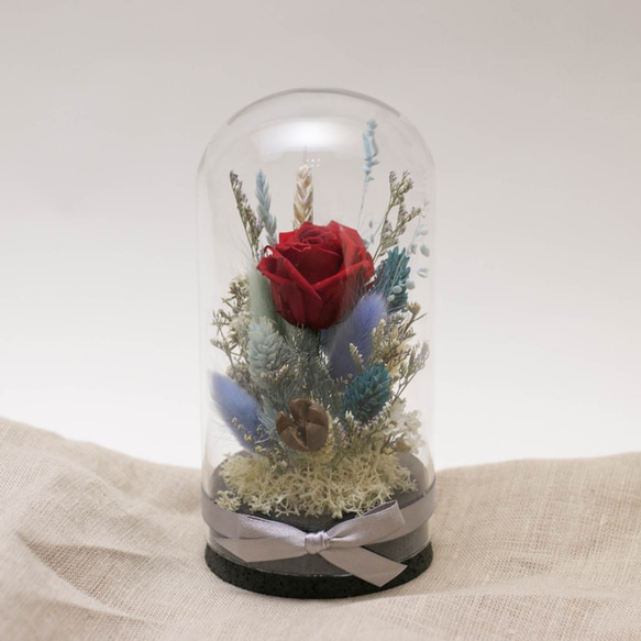 [奇比植作]（赤いバラ、青い庭）永遠の花園星瓶8X16  - ドライフラワー/ギフト/カスタム 1枚目の画像