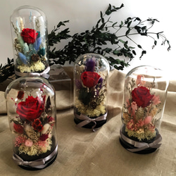 【奇比植作】（紅色玫瑰、紫色系花園）永生花花園星空瓶8X16 - 乾燥花/禮品/客製 第2張的照片