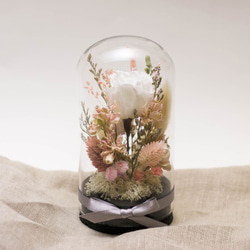 【奇比植作】（白色玫瑰、粉色系花園）永生花花園星空瓶8X16 - 乾燥花/禮品/客製 第1張的照片