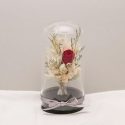 [奇比植作]（赤+ピンクのバラ、白の花束）永遠の花の花束の星瓶8X16  - ドライフラワー/ギフト/カスタム 1枚目の画像
