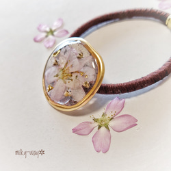 ケイオウ桜と優美な歪みリングのヘアゴム／紫レジンに霞む桜 2枚目の画像