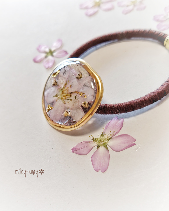 ケイオウ桜と優美な歪みリングのヘアゴム／紫レジンに霞む桜 2枚目の画像