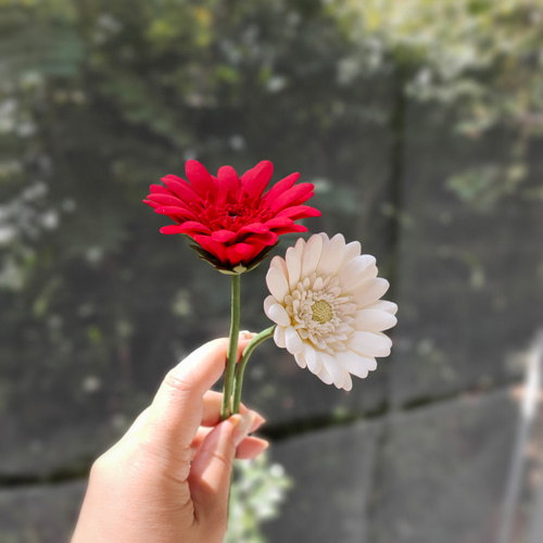 クレイの紅白ガーベラ2本セット サンタさん＆赤だるまピック付き