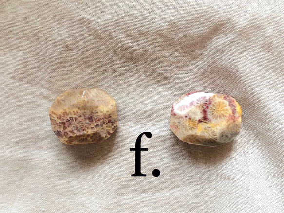 天然石♡フォッシルコーラルのピアス14kgf 天然石♡フォッシルコーラルのピアス14kgf 14kgf*化石珊瑚