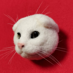 白のスコティッシュフォールドの猫ブローチ381 羊毛フェルト　猫　リアル　ぬいぐるみ　愛猫　スコティッシュフォールド 2枚目の画像