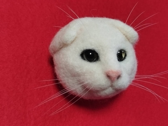白のスコティッシュフォールドの猫ブローチ381 羊毛フェルト　猫　リアル　ぬいぐるみ　愛猫　スコティッシュフォールド 3枚目の画像