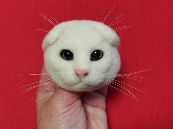 白のスコティッシュフォールドの猫ブローチ381 羊毛フェルト　猫　リアル　ぬいぐるみ　愛猫　スコティッシュフォールド 5枚目の画像