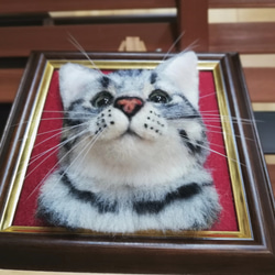 アメリカンショートヘアのフレーム猫　羊毛フェルト　猫　リアル　ぬいぐるみ　愛猫　額縁猫　フレーム　アメリカンショートヘア 4枚目の画像