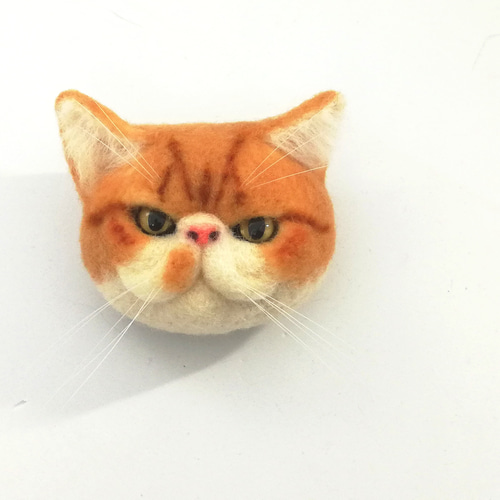 エキゾチックショートヘアのブローチ446 羊毛フェルト 猫 リアル