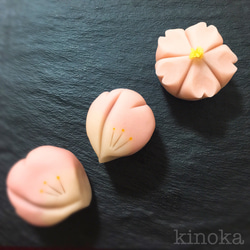 【送料無料】桜の上生菓子4個入《贈り物、お手土産に》 1枚目の画像