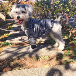 【お色選べます】＊犬服 総柄長袖ニットソー＆タンクトップ＊ 8枚目の画像