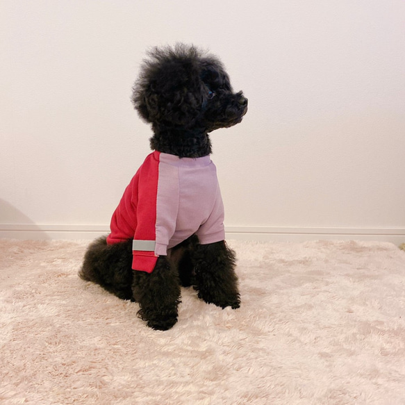 【お色選べます】＊犬服クルーネック切り替えスウェット＊ 2枚目の画像