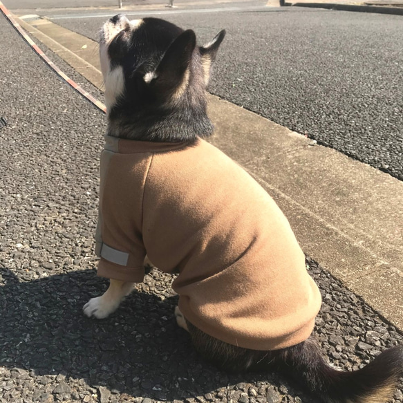 【お色選べます】＊犬服クルーネック切り替えスウェット＊ 7枚目の画像