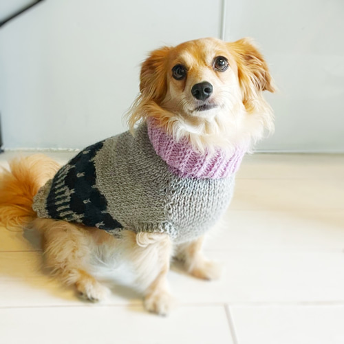 手編み犬服 2af9e8e1bdfc2a03a66235c2713b93