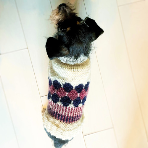 手編み犬服　２枚 1_0eaca466f3b5f9d4c77dac4c04ff
