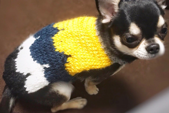 犬服＊手編みニット 北欧カラーケープ型セーター 1枚目の画像