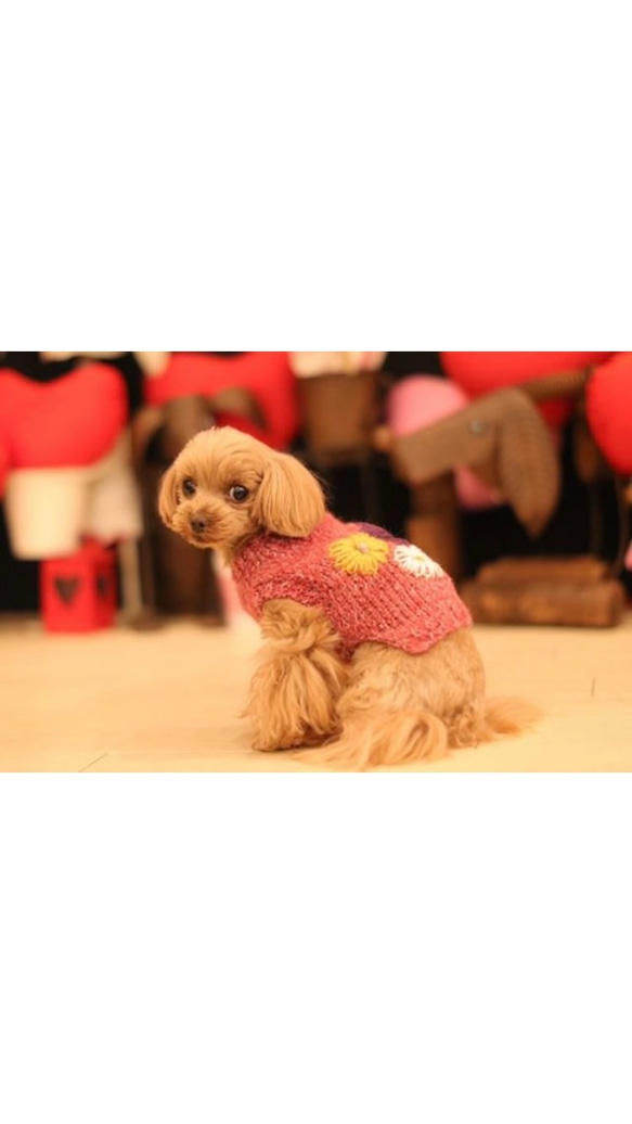 【お色選べます】犬服＊手編み春ニット  ふわふわモヘアお花刺繍セーター 2枚目の画像