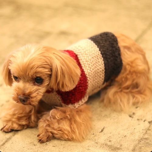 手編み犬服　５枚 2af9e8e1bdfc2a03a66235c2713b93