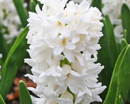 0_a7fc4dd47a5ff56b33a55e3fc63b