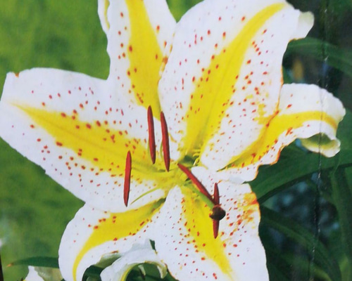 0_bb50d576bdef37ce3fedc1055e3b