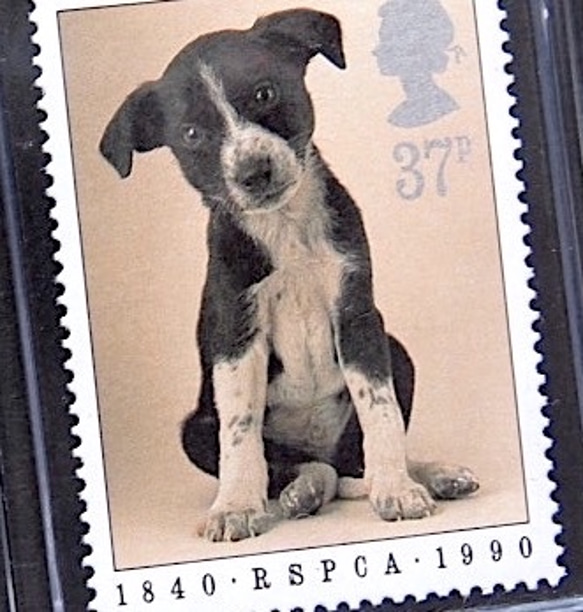 母の日★ヴィンテージの『犬』切手を閉じ込めたキーホルダー★タッセル付き★　KL−62 1枚目の画像