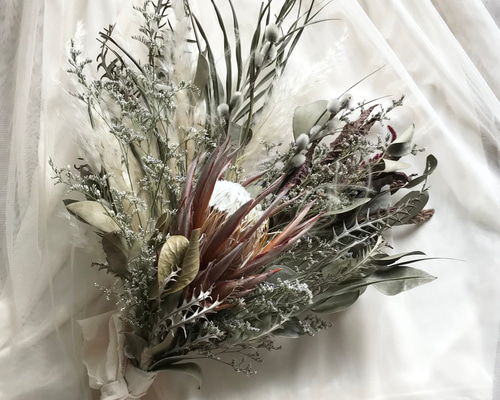 特大 50x40cm ネイティブフラワー キングプロテア パンパスグラス