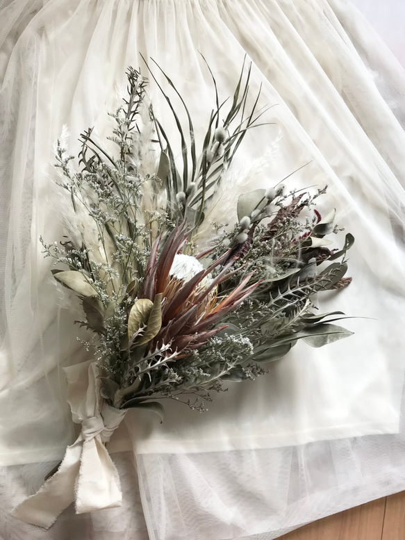 特大 50x40cm ネイティブフラワー キングプロテア